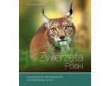 Zwierzęta Polski - Najciekawsze i najpiękniejsze gatunki naszej fauny